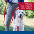 Coastal Pet Double-Ply Dog Leash - Nylon Walking Leash with Bolt Snap Attachment for Small, Medium & Large Dogs - Red -