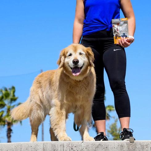 ARK NATURALS Gray Muzzle Old Dogs! Happy Joints! - 90 Soft Chews with Glucosamine, Orange