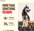(4, 16oz) 100% Natural Farm Odor-Free Bully Sticks All-Natural Long-Lasting Chews, Beef Pizzle, Grass-Fed, Grain-Free