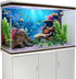 YongFoto Fish Tank Background, 24x16 inch Coral Seaweed Reef Rock Underwater Backdrop for Aquarium and Terrarium