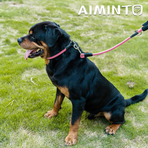 Braided Rope Dog Leash, Traction Walking Training Lead for Medium/Large Dogs (1/2", 2FT, Pink)