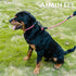 Braided Rope Dog Leash, Traction Walking Training Lead for Medium/Large Dogs (1/2", 2FT, Pink)