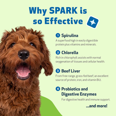 Pet Wellbeing Spark Daily Nutritional Greens Superfood for Dogs & Cats - Probiotics, Digestive Enzymes, 3.53 oz