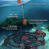 30" 4.4/9.5lb, 36 QualyQualy Crab Ring Trap, Heavy Duty Crab Nets Crab Net for Crabbing Pier with Fishing Buoy & Tarred