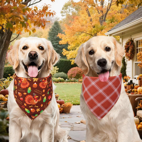 Agroon 3PCS, 6 Thanksgiving Dog Bandanas XLarge Pattern Fall Scarf for Boy and Girl, Pumpkin Leaves Rugby Triangle