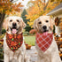 Agroon 3PCS, 6 Thanksgiving Dog Bandanas XLarge Pattern Fall Scarf for Boy and Girl, Pumpkin Leaves Rugby Triangle