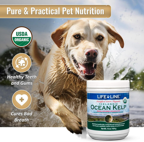 Life Line Pet Nutrition Organic Ocean Kelp Supplement - 16oz for Skin & Coat, Digestion