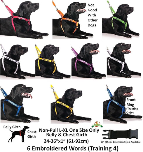 Dexil Limited Adopt ME Yellow Color Coded Non-Pull Dog Harness - Padded and Waterproof Vest - XS