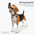 Classic Leather Dog Collar by Scout Supply, Heavy Duty Thick Full Grain Leather, Waterproof & Rust-Proof Brass Hardware