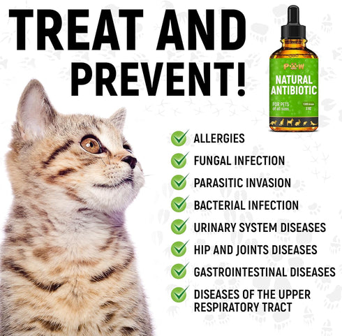 Dog Antibiotics for Infection, Coughs, UTIs, Allergies, Natural Antibiotics for Cats, 2 oz