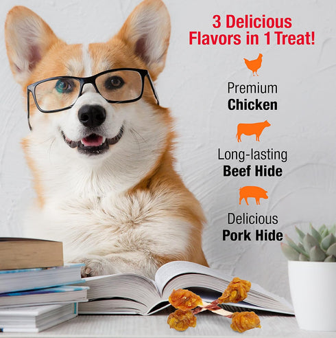 Good 'n' Fun Gourmet Dog Snacks - Triple Flavor Double Pops with Chicken, 5.5 Ounces