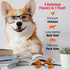 Good 'n' Fun Gourmet Dog Snacks - Triple Flavor Double Pops with Chicken, 5.5 Ounces