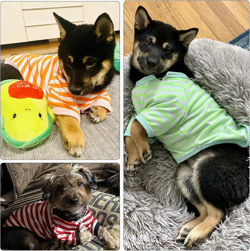 6 Pieces Dog Striped T-Shirt, Breathable Pet Apparel, Colorful Puppy Sweatshirt for Small to Medium Dogs (L)