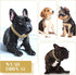 Dog Chain Diamond Collar - Walking Metal Chain Collar with Secure Buckle, Pet Jewelry for Small Medium Large Dogs