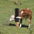 2 pcs Horse Cattle Scratchers, Soft Massage Brush Kit for Equine Bovine, Itch Relief Pad