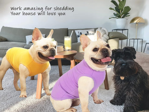 Plain Cotton Dog Shirts, Large Pet Costumes for Male & Female Dogs, Yellow & Purple, Size XXL