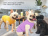 Plain Cotton Dog Shirts, Large Pet Costumes for Male & Female Dogs, Yellow & Purple, Size XXL