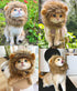 Lion Mane Wig for Cat Costume, Adjustable Washable Fancy Hair Dress for Halloween, Christmas, Easter (Brown)