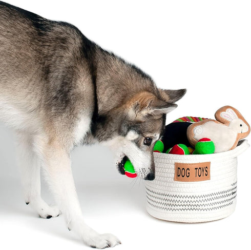 Midlee Small Dog Toy Rope Cotton Basket