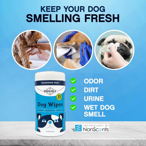 Dog Grooming Wipes - 75 Fragrance-Free Cleaning Wipes for Dogs & Puppies, Safe & Gentle, Alcohol-Free Pet Care
