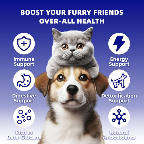 YoYoJo 10 Immunity, 3.53 oz 100g Mushrooms Extract Powder for Dogs & Cats - Mushrooms Complex Pet Supplement