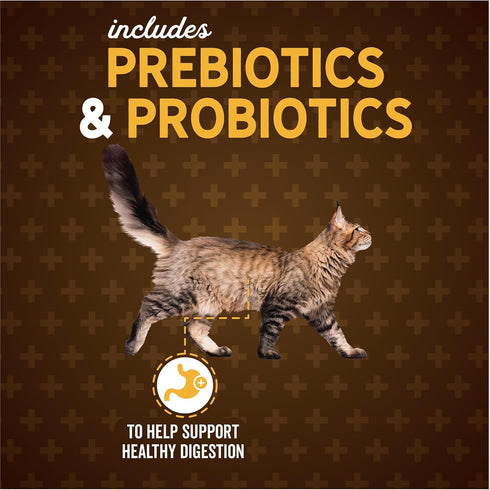 Evolve Classic Deboned Chicken and Brown Rice Recipe Cat Food, 15 lb