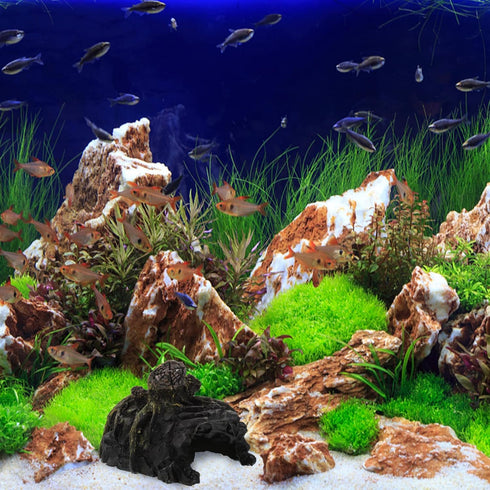 DELURA House Hideout Cave Decorative Amphibians Basking Shrimp Short Lizard Lizards Caves Shelf and Breeding Landing