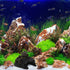 DELURA House Hideout Cave Decorative Amphibians Basking Shrimp Short Lizard Lizards Caves Shelf and Breeding Landing