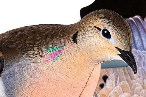 Avian-X PowerFlight Spinning Wing Dove Life-Size Motion Decoy - Durable Weather-Resistant Realistic Lifelike Hunting