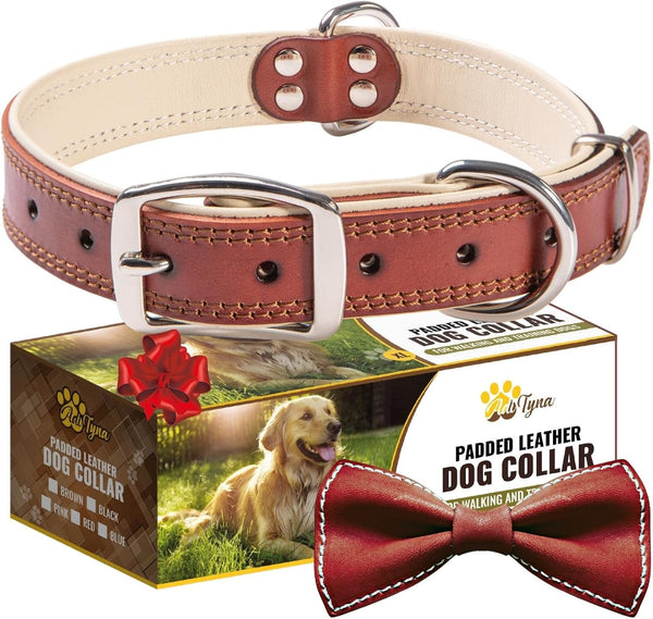 ADITYNA Heavy-Duty Premium Leather Dog Collar for Extra-Large Dogs, Padded with Soft Genuine Leather