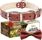 ADITYNA Heavy-Duty Premium Leather Dog Collar for Extra-Large Dogs, Padded with Soft Genuine Leather