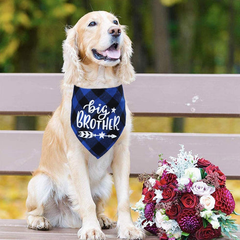 STMK Big Brother Big Sister Dog Bandana, Pregnancy Announcement Plaid Gender Reveal Photo Prop for Dogs