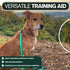 1.5mm Stainless Dog Training Collar for Small Breeds - 8'' Micro Prong Collar for Dogs 6-26lbs, No-Pull Behavior Aid