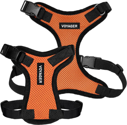 Voyager Step-in Lock Pet Harness - Adjustable All Weather Mesh Harness for Cats and Dogs, Orange/Black Trim, S