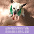 Recommended 90 Count Ark Naturals Gray Muzzle Brain's Best Friend Vet Soft Chews for Cognitive Issues Associated