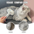 Spray Cat Brush for Shedding, Water Brush for Cats and Dogs, Pet Hair Removal Comb with Water Tank