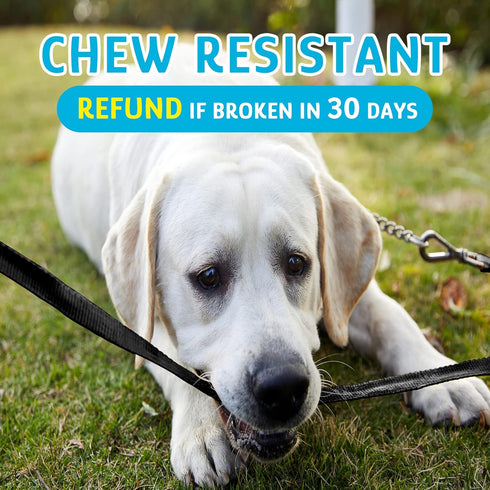 Chew Resistant Float on Water Dog Training Leash - Heavy Duty Hook Safe Handle Long Lead for Dogs (Black 15ft)