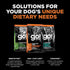 Go! Solutions Skin + Coat Care - Dry Dog Food - 12 lb - Salmon Recipe with Grains for All Life Stages