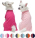 Blueberry Pet Back to School 2-Pack Dog Polo Shirts, Cotton Outfit for Small Pets, Amaranth Red + Pink