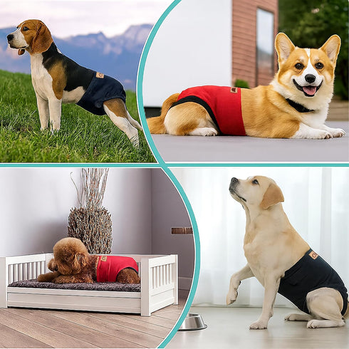 2-Pack Dog Diapers Female |Puppy Essentials Washable & Reusable,Suitable for Period Diapers, Dog Pants to Prevent