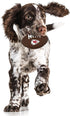 NFL Kansas City Chiefs Mega-chew Hard Nylon Bacon-flavored Dog Bone Football Chew Toy. Interactive Tasty Fun Dog Chew