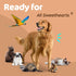Sunny & Honey Pet Stain & Odor Miracle, Enzyme Cleaner for Dog and Cat Urine, 32 FL OZ