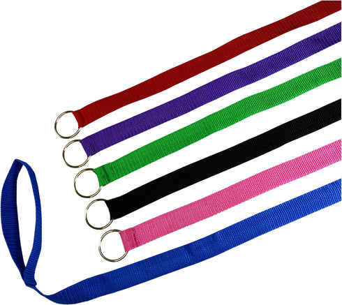 Downtown Pet Supply - 6ft Dog Kennel Slip Lead Leash - Veterinarian, Grooming, Daycare & Animal Rescue Supplies - One