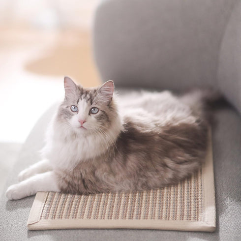 FUKUMARU Cat Scratcher Mat, 23.6 X 15.7 Inch Natural Sisal, Horizontal Cat Floor Scratching Pad (Cream - Thicken)