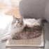 FUKUMARU Cat Scratcher Mat, 23.6 X 15.7 Inch Natural Sisal, Horizontal Cat Floor Scratching Pad (Cream - Thicken)