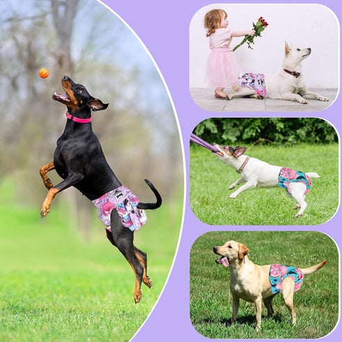 4 Packs XPCARE Reusable Dog Diapers - Absorbent, Leak-Proof for Female Dogs (Large)