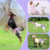 4 Packs XPCARE Reusable Dog Diapers - Absorbent, Leak-Proof for Female Dogs (Large)