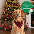 4th 2 Pack Set of July Dog Bandanas, Classic Reversible Red Green Plaid Plaid Pet Bandana Dog Birthday Bandana for Boy