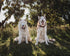 Beau's Bells 2 Extra Loud Cat & Dog Bells, Pet Tracker, Luxury Handmade Copper (Large)