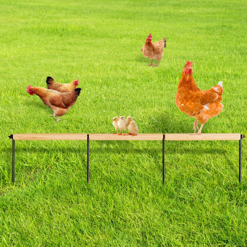 Chicken Toys,Extra Long Chicken Perch Toys,Woodern Chickens Roosts and Perches Stand Training
